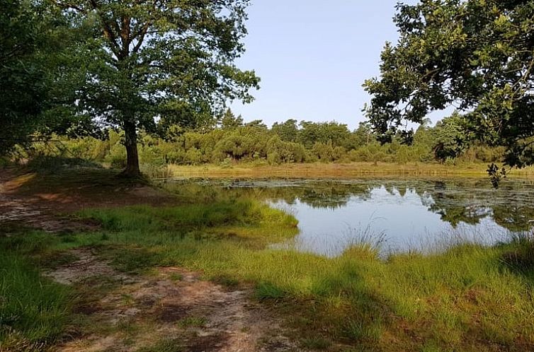 Vakantiehuisje in Dwingeloo