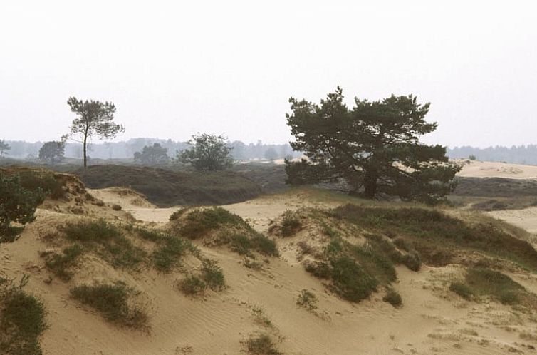 Vakantiehuisje in Dwingeloo