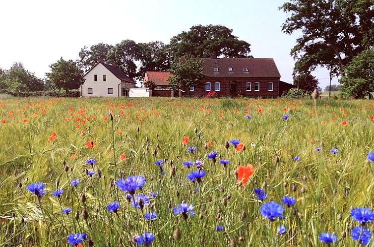 Huisje in Gardelegen