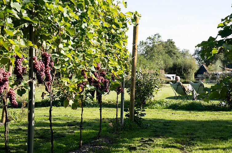 Vakantiehuis in Ruinerwold