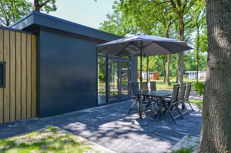 Vacation home in Zorgvlied with modern terrace in Southwest Drenthe, surrounded by green nature.