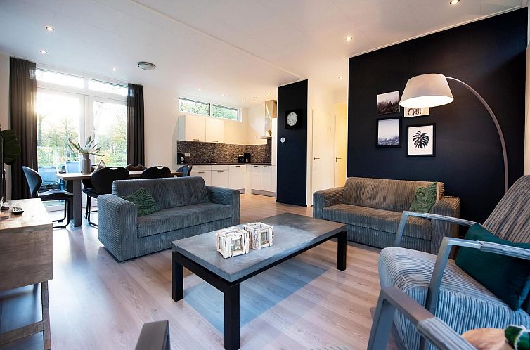 Gezellige woonkamer in Drenthelodge XL vakantiehuis, Zorgvlied, Zuidwest Drenthe, met comfortabele banken en moderne inrichting.