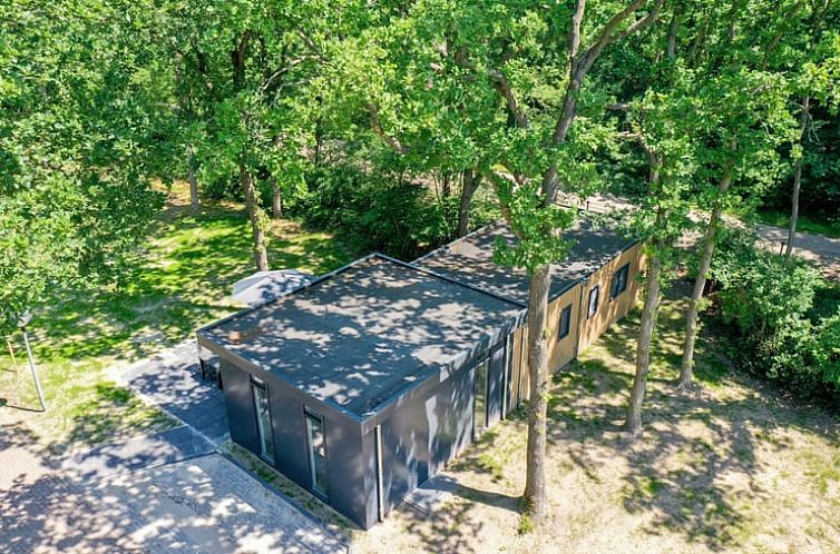 Luchtfoto van Huisje in Zorgvlied, vakantiehuis omgeven door groene natuur in Zuidwest Drenthe.