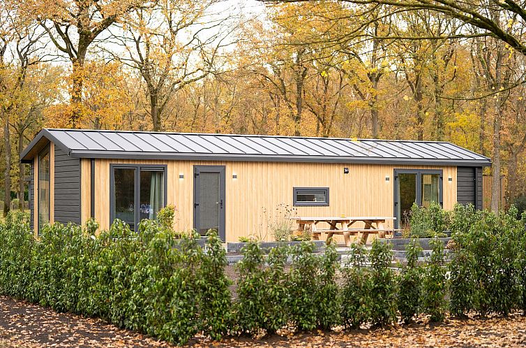 Unterkunft 201547 - Ferienhaus Zuidwest Drenthe - Aekinger Lodge | 4 Pers. Omheinde tuin en Hottub