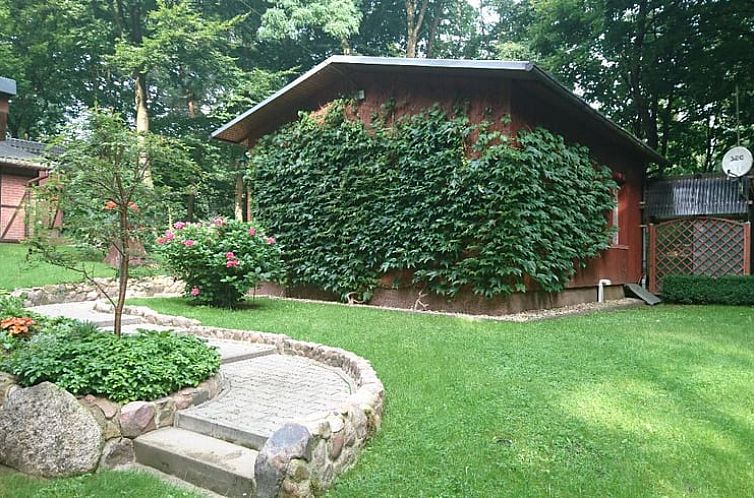 Groene omgeving bij Vakantiehuis in Zichtau, Saksen-Anhalt, perfect voor een ontspannen verblijf in Duitsland.