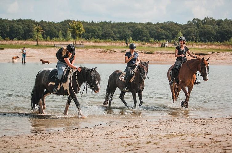 Huisje in Wateren (Westerveld)
