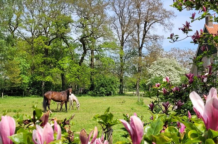 Huisje in Wateren (Westerveld)
