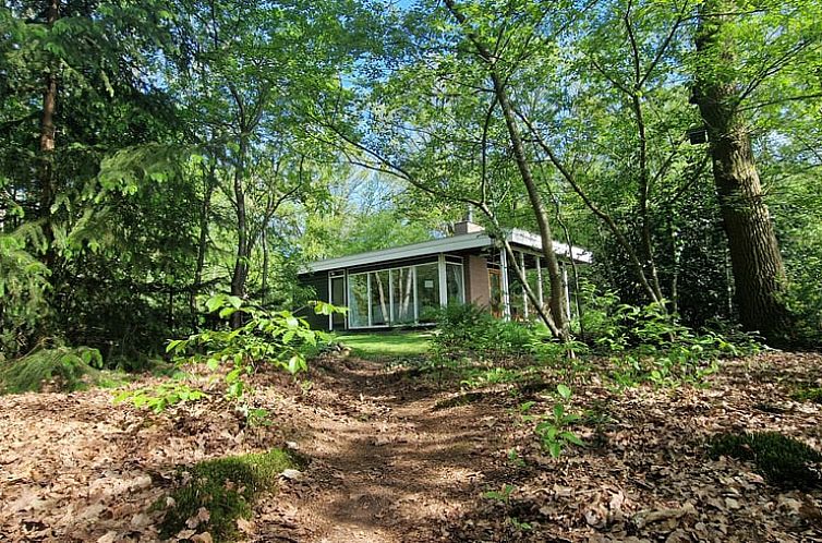 Vacation cottage in Wateren, Westerveld surrounded by green nature in Southwest Drenthe, perfect for a relaxing stay.