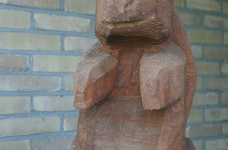 Vakantiehuisje in Wateren (Westerveld)