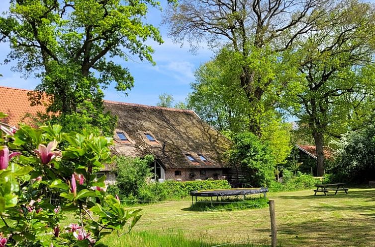 Vakantiehuis in Wateren (Westerveld)