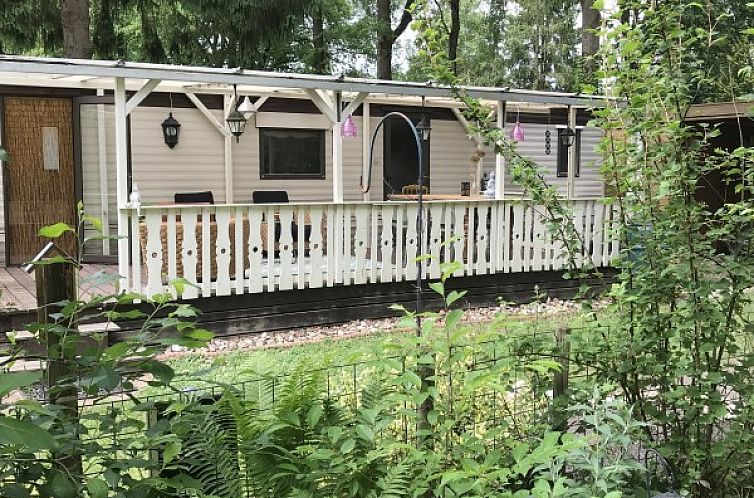 Charme Chalet Kairos in Wateren, Drenthe offers an attractive terrace with views of the surrounding nature.