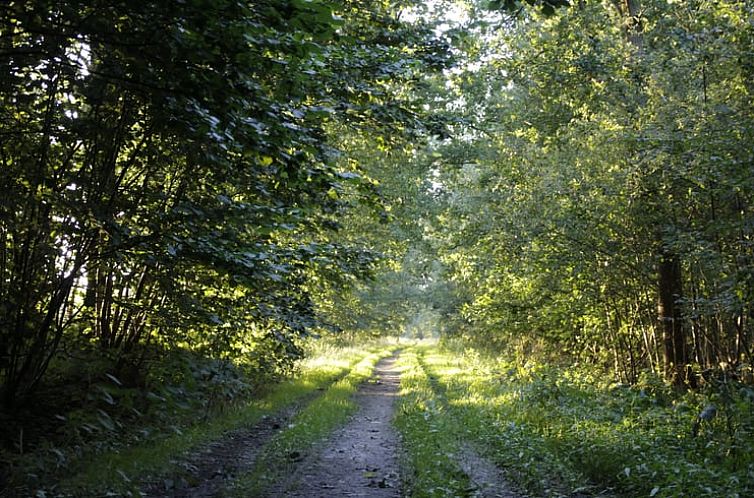 Vakantiehuisje in Koekange