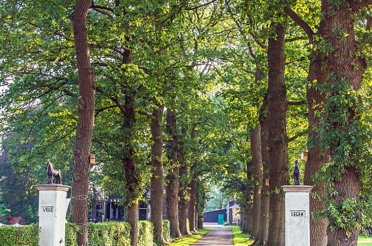 Vakantiehuisje in Koekange