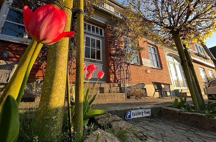 Appartement Wohnung in Bad Segeberg mit Terrasse