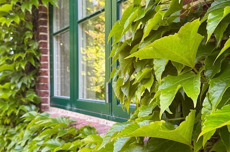 Huisje in Tetenbüll