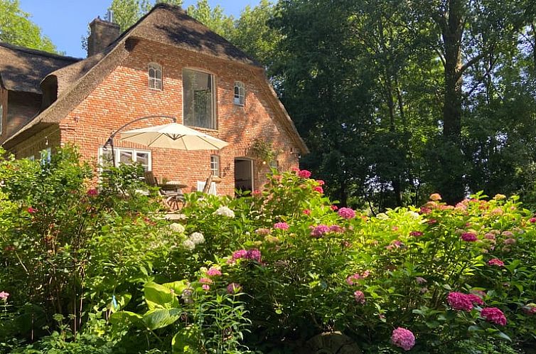 Geniessen Sie die ruhige Umgebung im Ferienhaus in Oldenswort, mit einer schoenen Terrasse in Schleswig-Holstein.