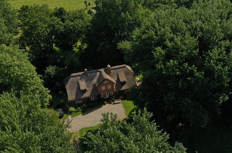 Vakantiehuis in Oldenswort