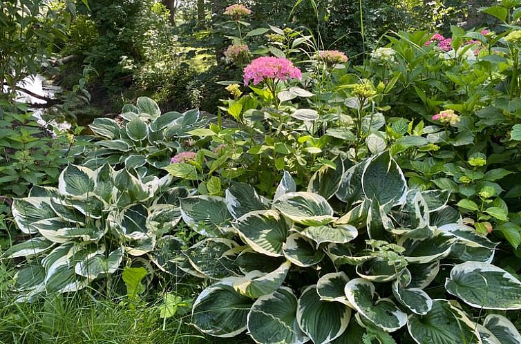 Vakantiehuis in Oldenswort