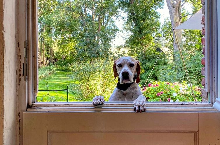 Vakantiehuis in Oldenswort