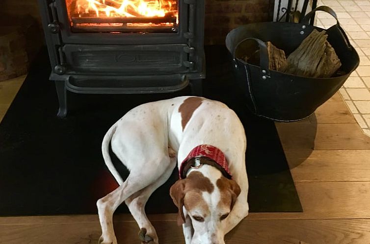 Vakantiehuis in Oldenswort