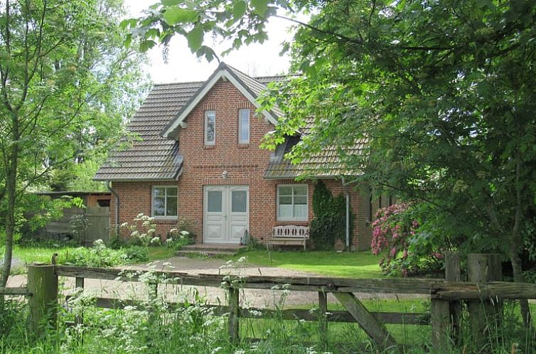 Geniet van de rust bij Vakantiehuisje in Hemme, omgeven door natuur in Sleeswijk-Holstein, Duitsland.