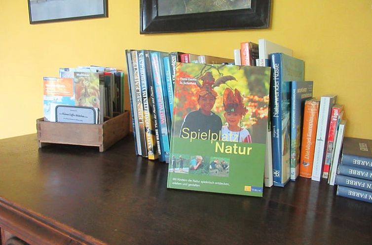 Vakantiehuisje in Hemme