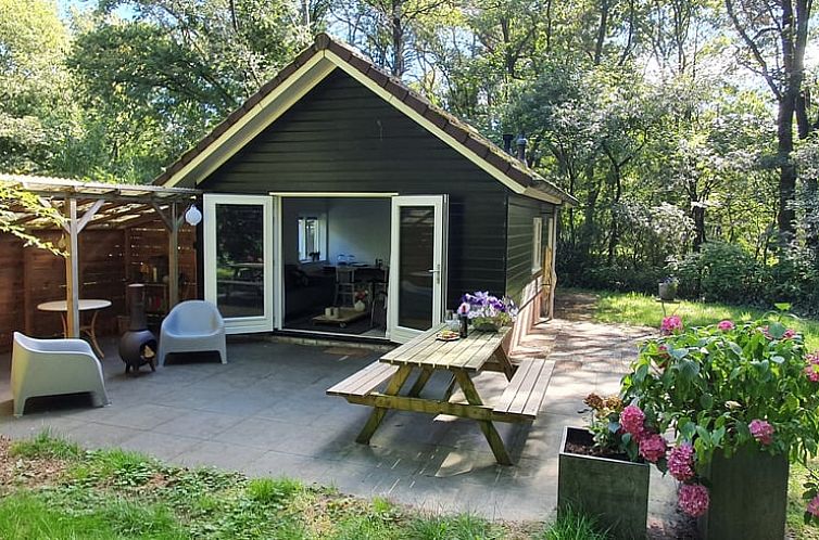 Enjoy the terrace at Holiday Home in Uffelte, Southwest Drenthe, surrounded by green nature.