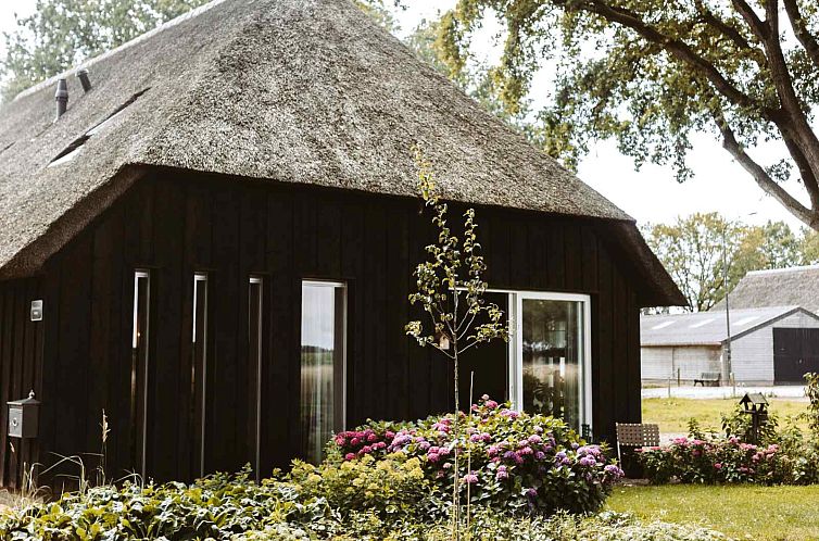 DG1503 Ferienhaus in Uffelte, Drenthe mit Reetdach und buntem Garten.