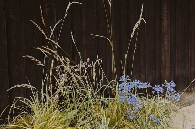 Vakantiehuisje in Uffelte