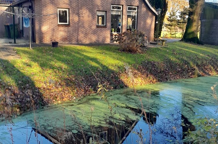 Cottage in Elim, a charming cottage in Southwest Drenthe, surrounded by serene nature and a picturesque stream.