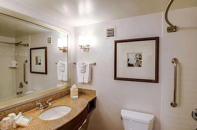 Hilton Garden Inn Tampa Ybor Historic District