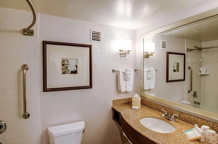 Hilton Garden Inn Tampa Ybor Historic District