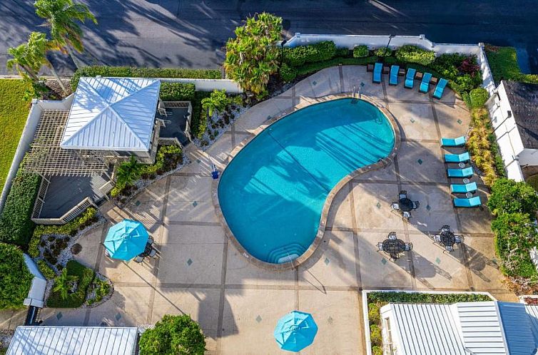 Hilton Tampa Airport Westshore