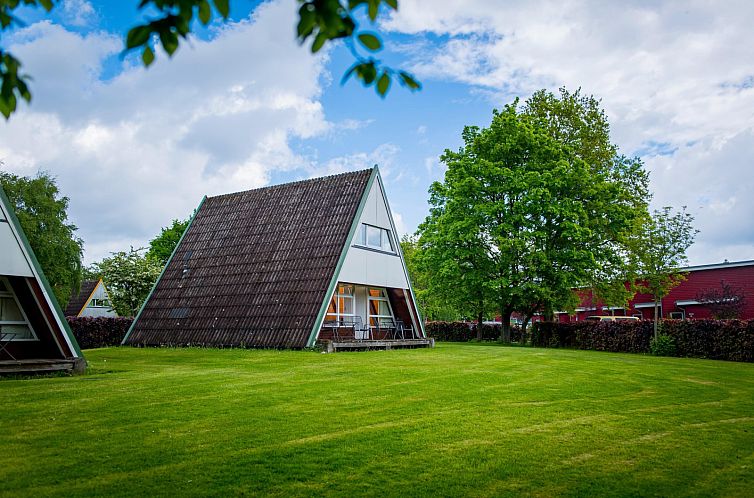 Unterkunft 2025420 - Ferienhaus Schleswig-Holstein - «Nurdachhaus HiPr 85 qm»