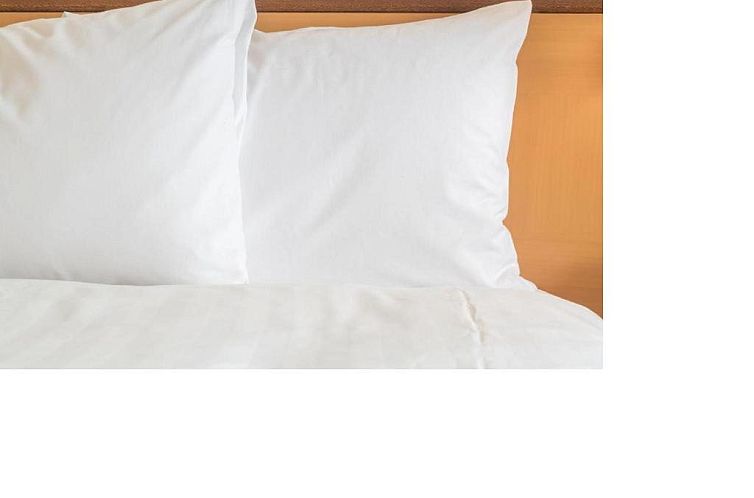 Holiday Inn Express and Suites Tampa I-75 at Bruce B. Downs,