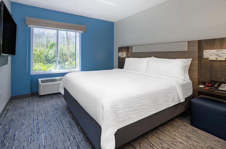 Holiday Inn Express and Suites Tampa I-75 at Bruce B. Downs,