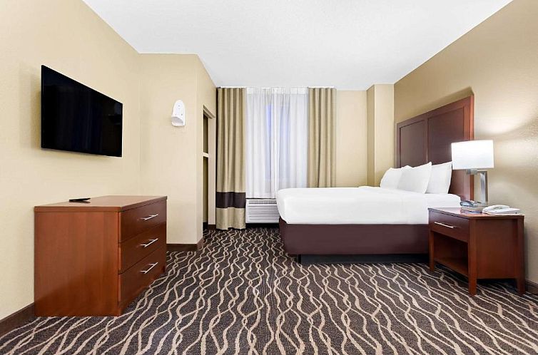 Comfort Suites Tampa Airport North