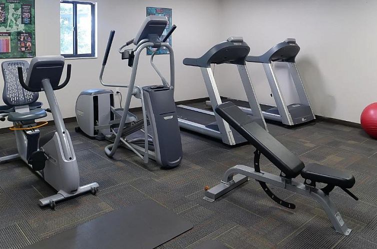 Hotel South Tampa & Suites