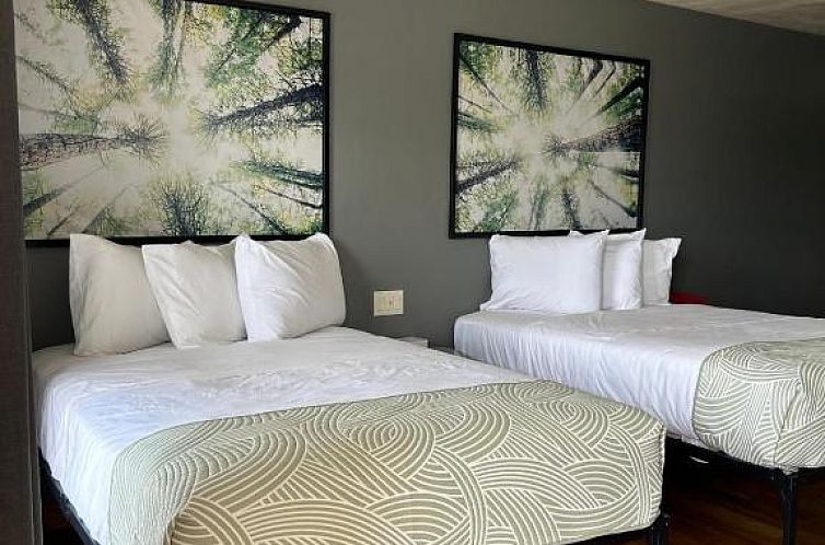 Americas Best Value Inn Mayflower