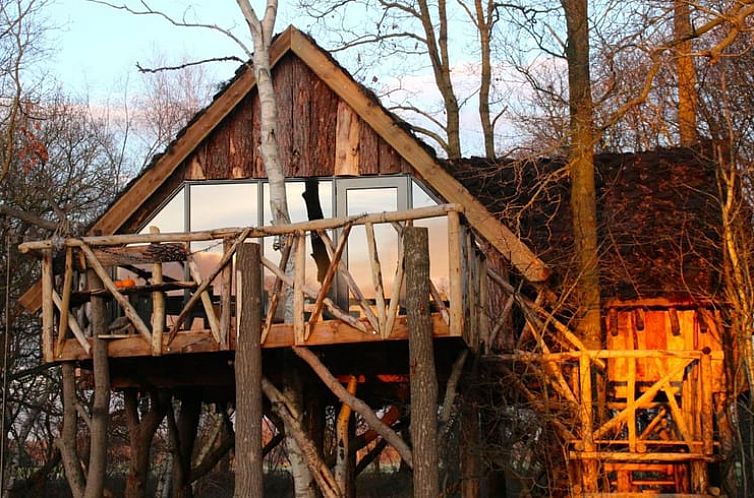 Vacation home in Ansen, unique treehouse experience in the middle of the nature of Southwest Drenthe.