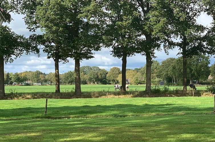 Vakantiehuis in Frederiksoord