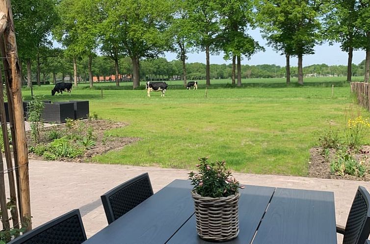 Huisje in Frederiksoord