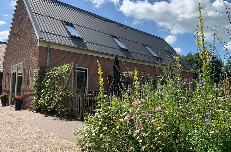 Huisje in Frederiksoord