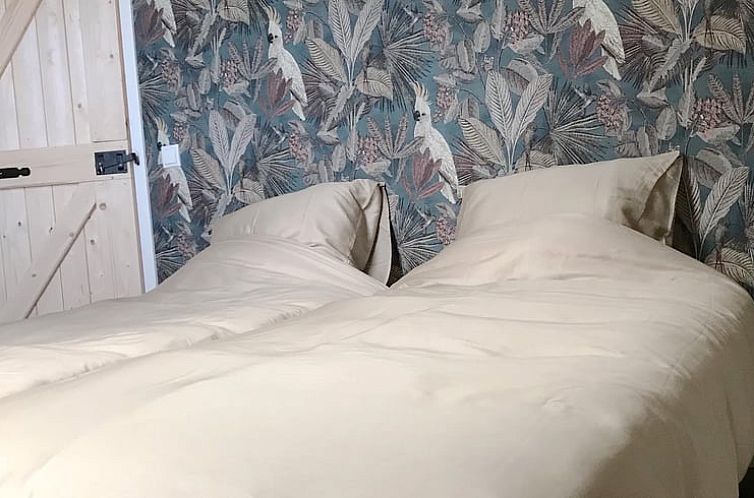 Vakantiehuis in Frederiksoord