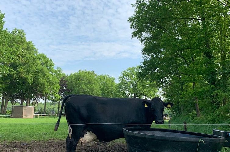 Vakantiehuis in Frederiksoord