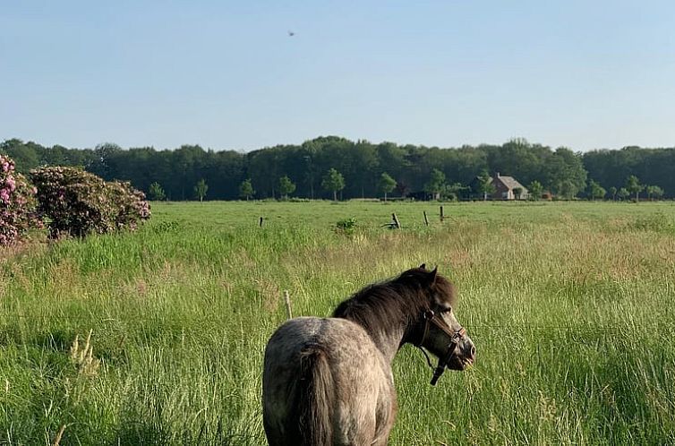 Vakantiehuis in Frederiksoord