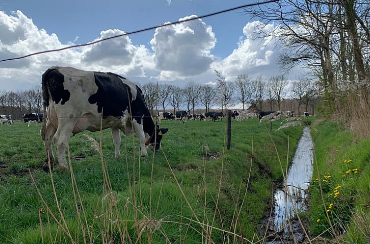 Vakantiehuis in Frederiksoord
