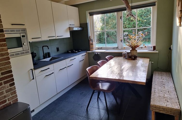 Vakantiehuisje in Oude Willem