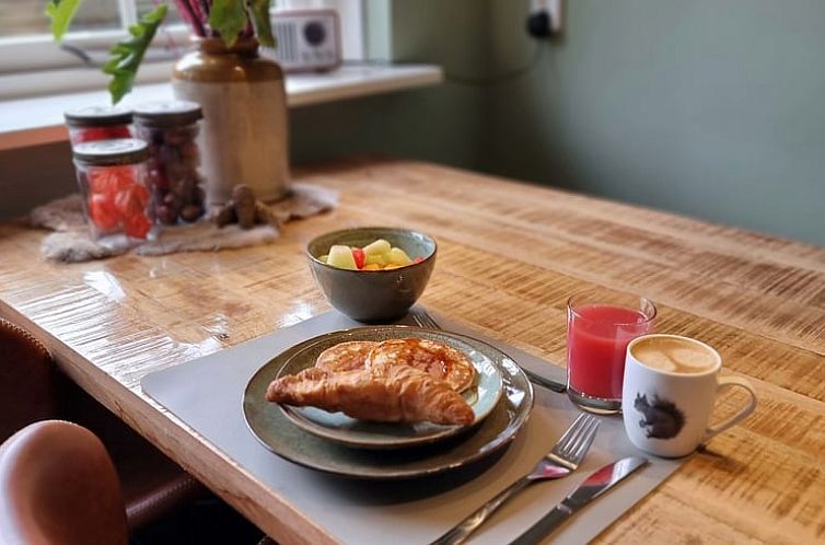 Vakantiehuisje in Oude Willem