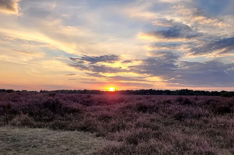 Vakantiehuisje in Oude Willem